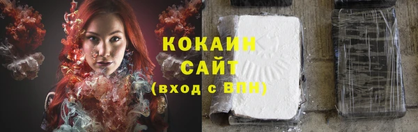 прущие грибы Переславль-Залесский