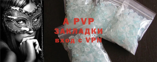 прущие грибы Переславль-Залесский