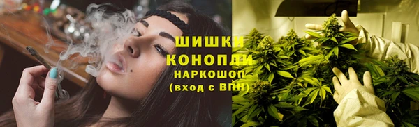 ПСИЛОЦИБИНОВЫЕ ГРИБЫ Пересвет
