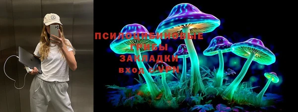 ПСИЛОЦИБИНОВЫЕ ГРИБЫ Пересвет