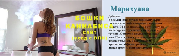 spice Пестово