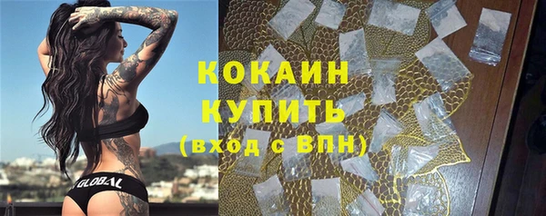 прущие грибы Переславль-Залесский