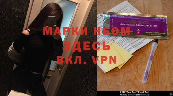 шишки Покачи
