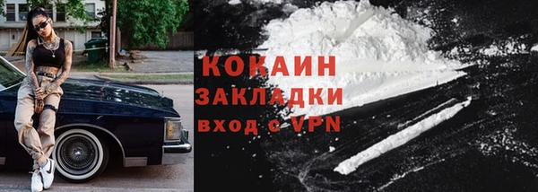ПСИЛОЦИБИНОВЫЕ ГРИБЫ Пересвет