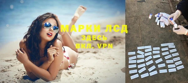 ПСИЛОЦИБИНОВЫЕ ГРИБЫ Пересвет