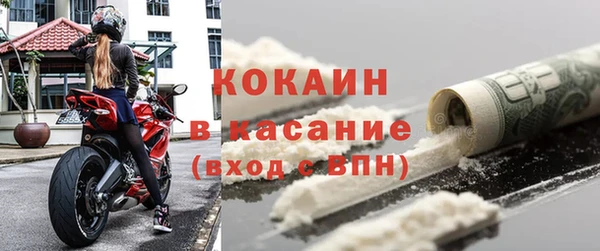 прущие грибы Переславль-Залесский