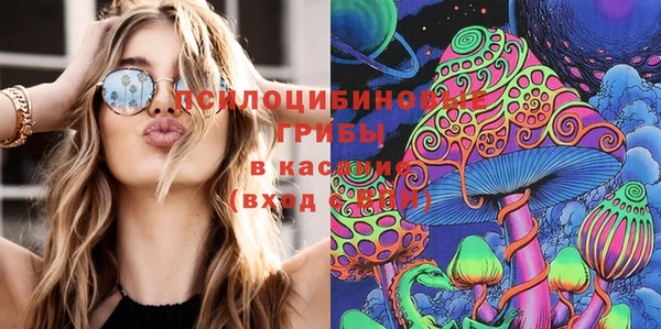 ПСИЛОЦИБИНОВЫЕ ГРИБЫ Пересвет