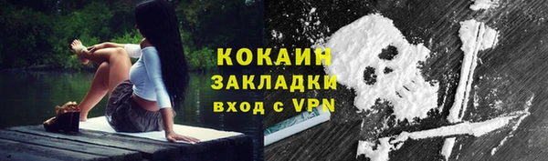 прущие грибы Переславль-Залесский