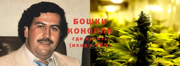 spice Пестово